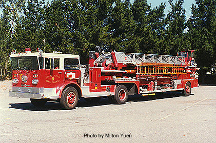 T19