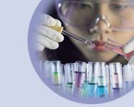 Researcher 2