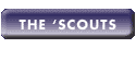 About Pharmascouts