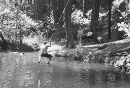 Tarzan rope swing